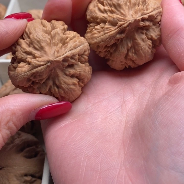 @***凯霸王龙全品无修一刀没动