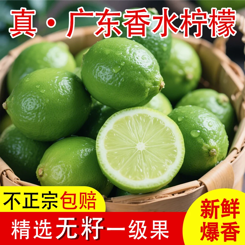 果园直发新鲜采摘广东正宗香水柠檬批发商用多汁柠檬茶奶茶店专用