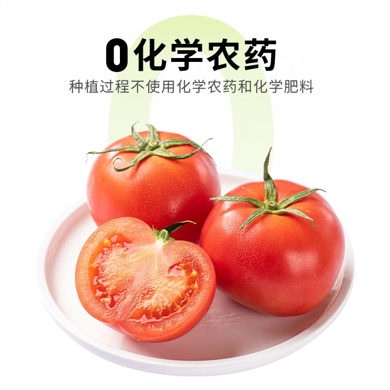 有机普罗旺斯番茄 400g/份番茄同城配