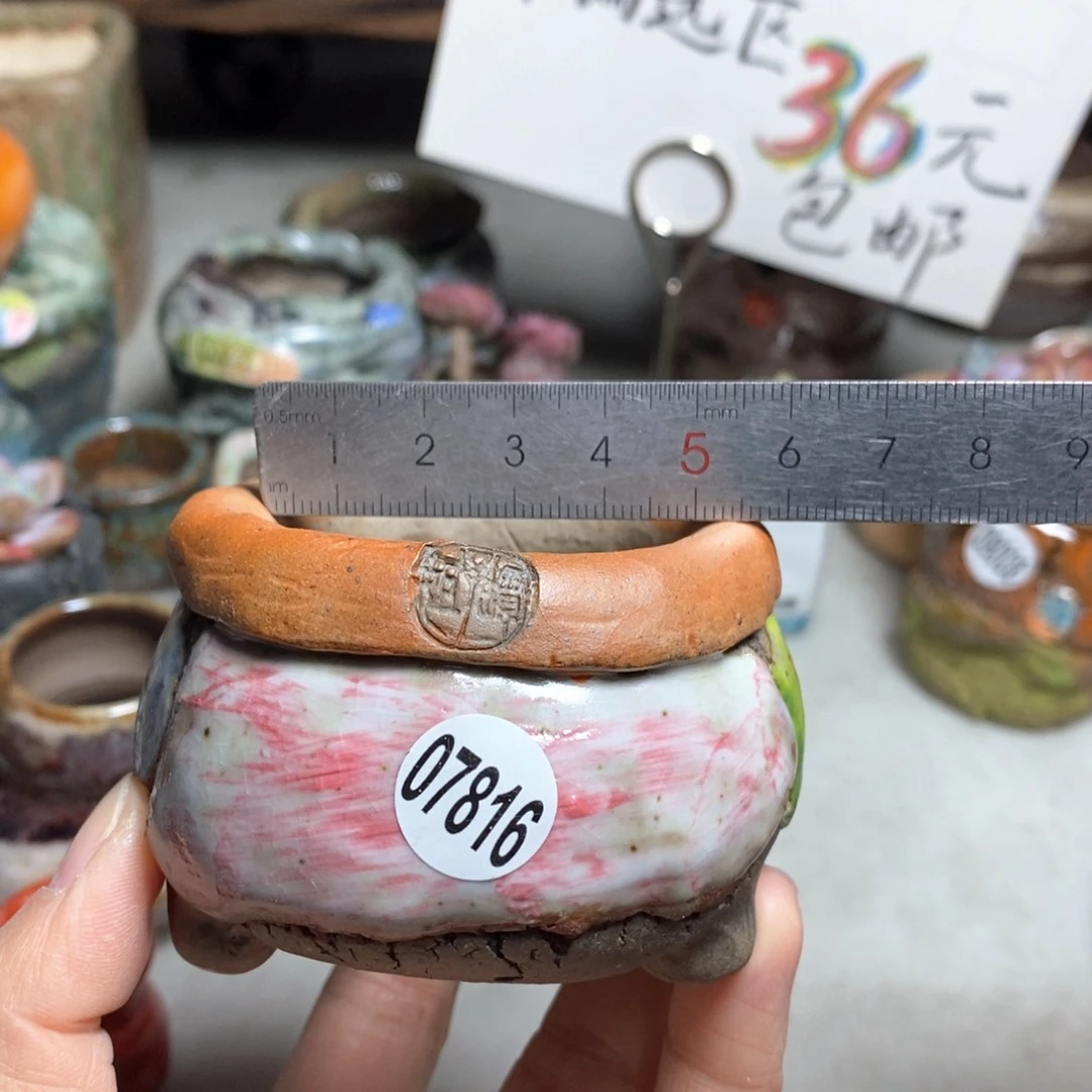 花盆拍3送一个小礼物