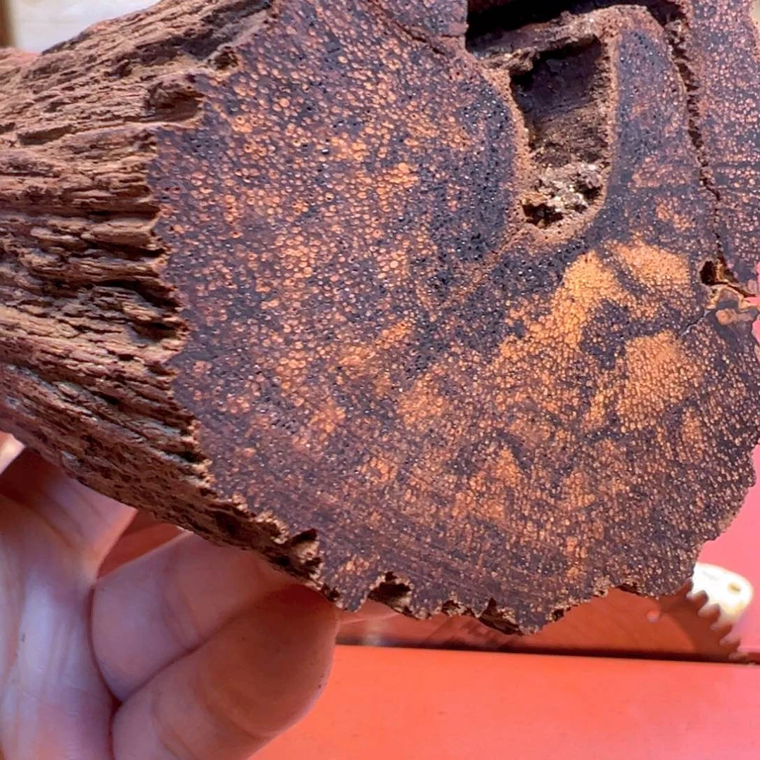 木和*贵降真香定制不退不换1.6