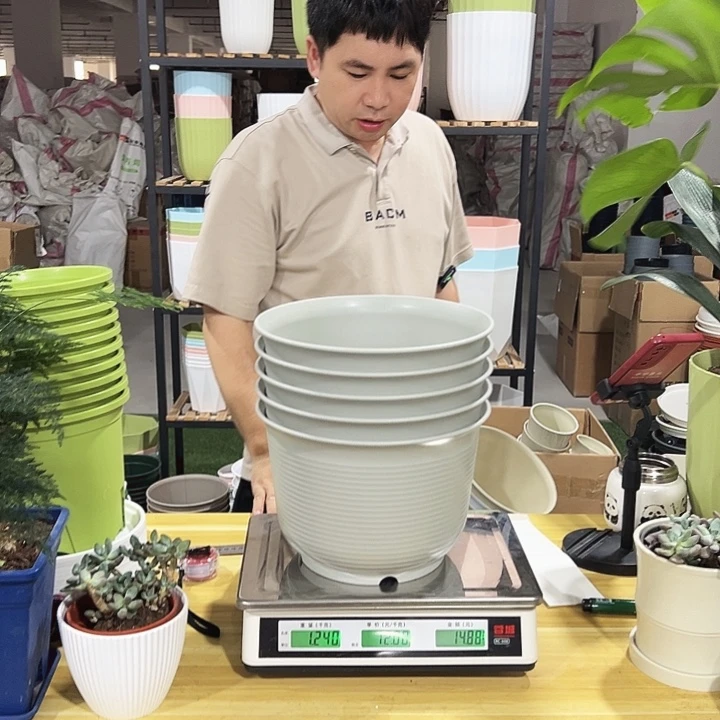 矮陶口27高19灰白色5个无托