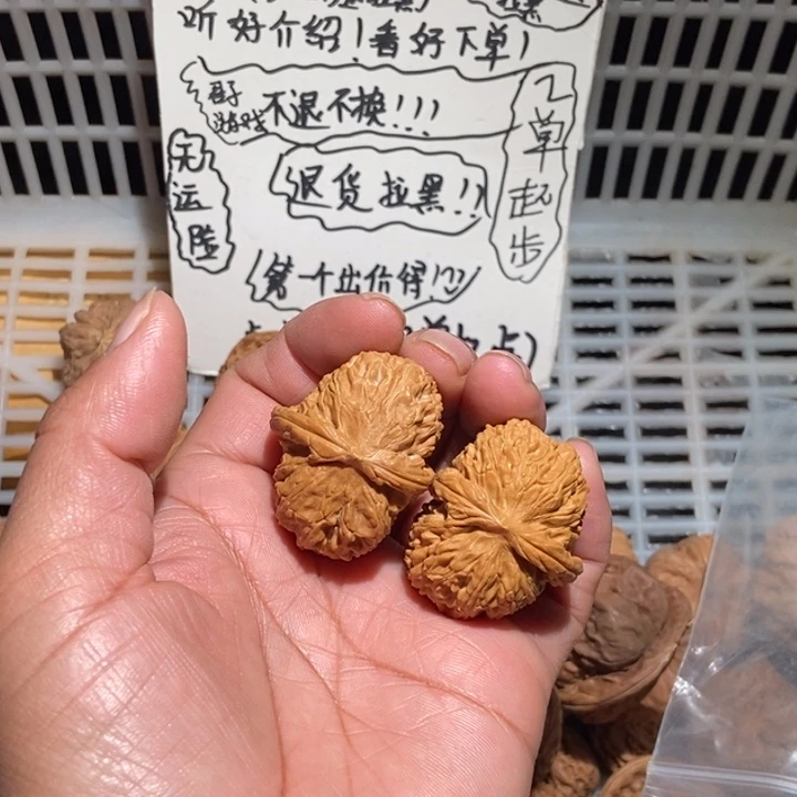 清***玖核桃白狮半壁江山全品合体尺寸60