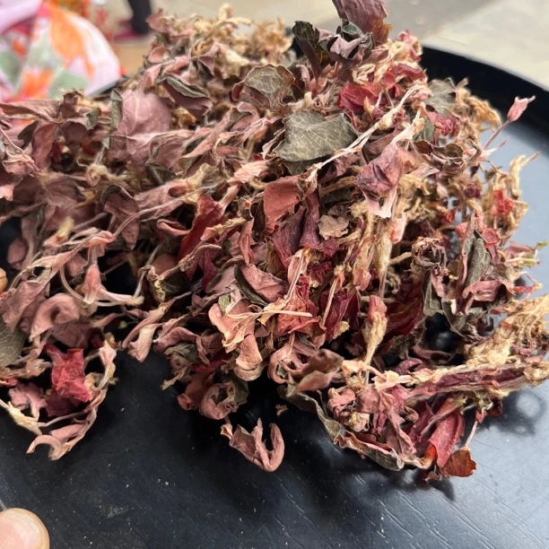 金-莲莲 云南边境山货 可搭配 桑叶