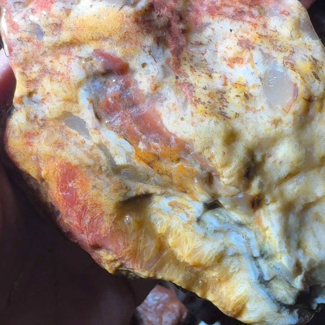 壶***秋寿山石899889999999