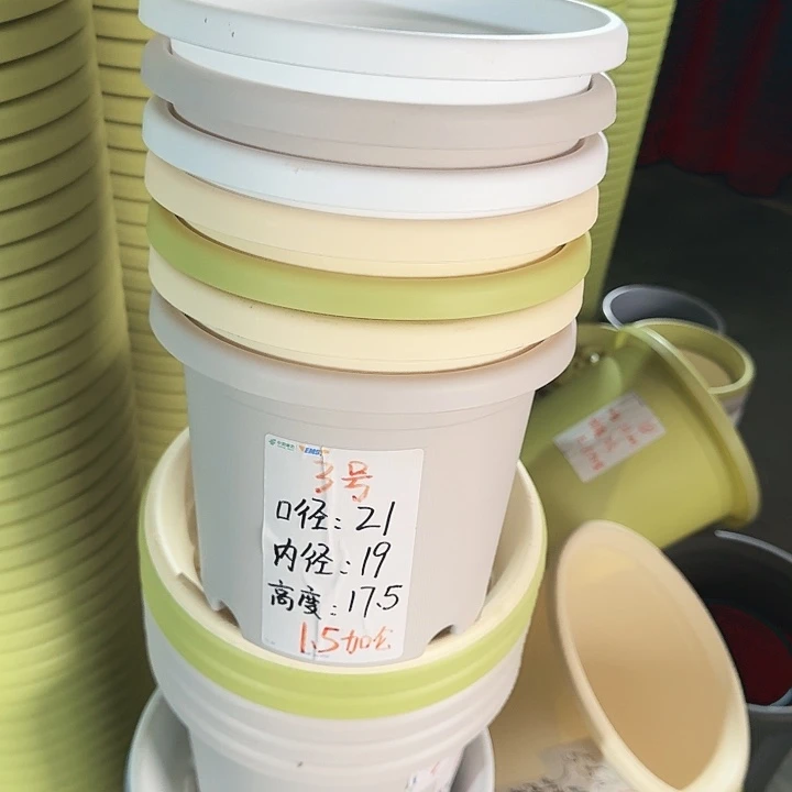 四季3#灰白10个无托口径21