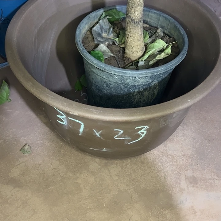 紫砂艺术学院美术