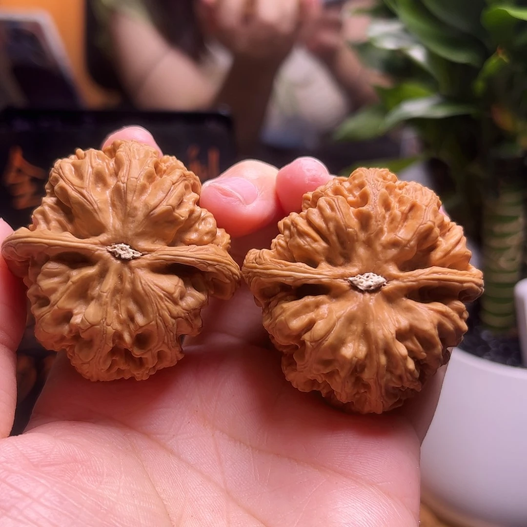 星***八文玩核桃吊坠45+粗筋2