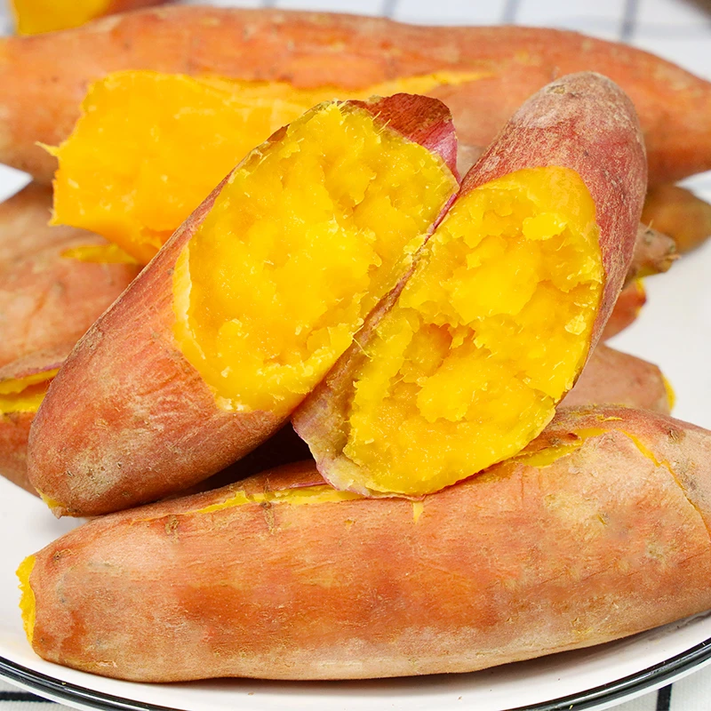 【自然搭档】河南沙地龙九黄心蜜薯净重3-5斤新鲜红薯番薯软糯香甜