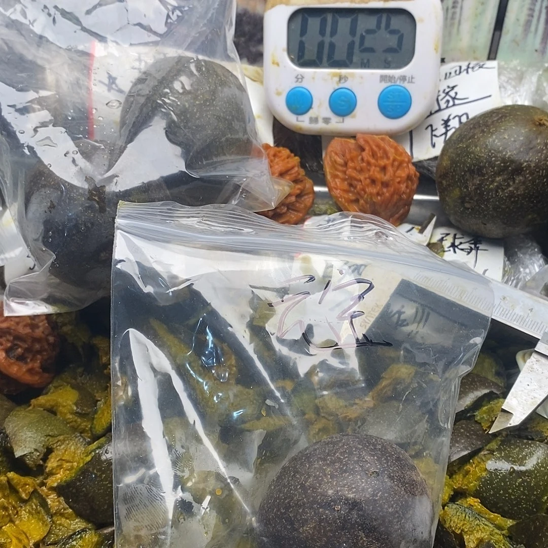 两***树出j今年就看看密密麻麻看