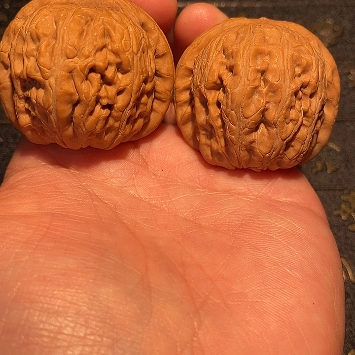 军***哥手串/手链核桃43元宝