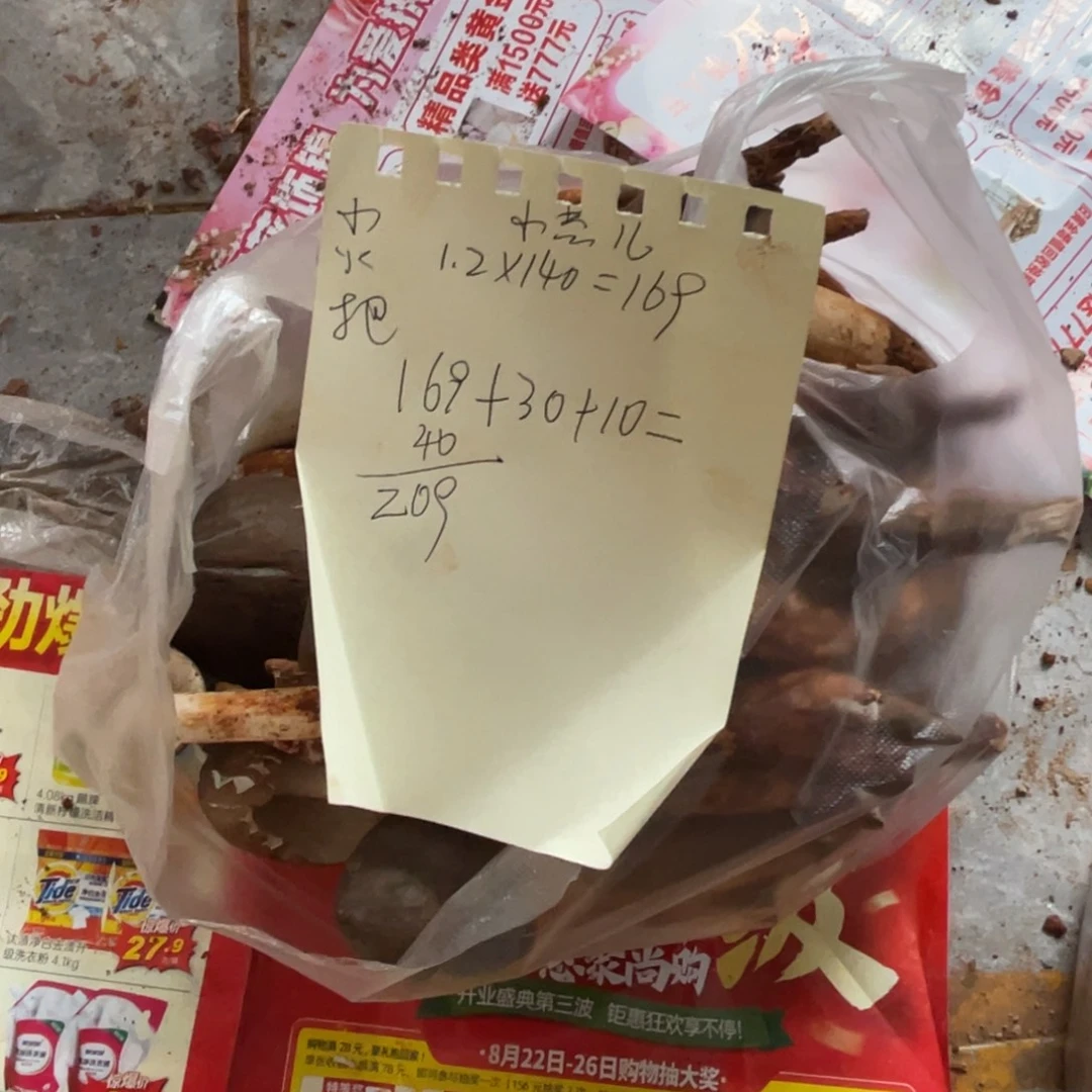 小***儿野生菌代购直播间一对一挑选不售后中国大陆