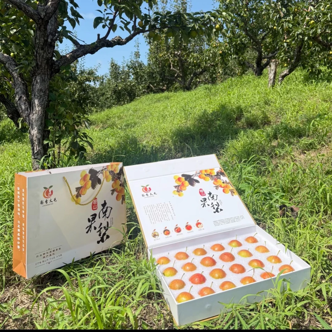 鞍山正宗精品红南果 精品礼盒装 施豆饼发酵肥 产地直销