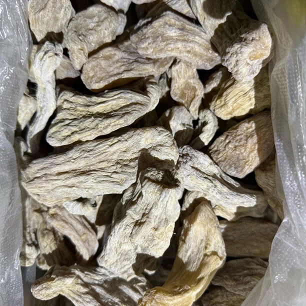 山地王----土天麻