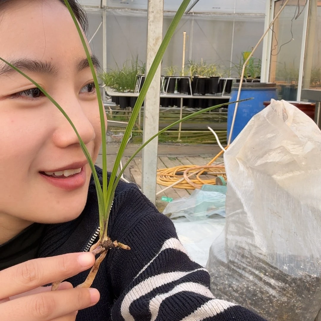 武***飞完全开放123456789000