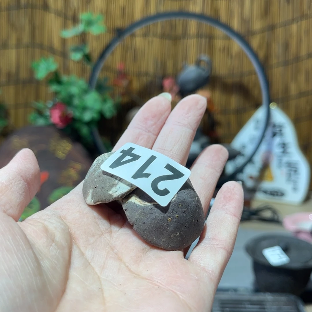 木村信弘柴烧保平