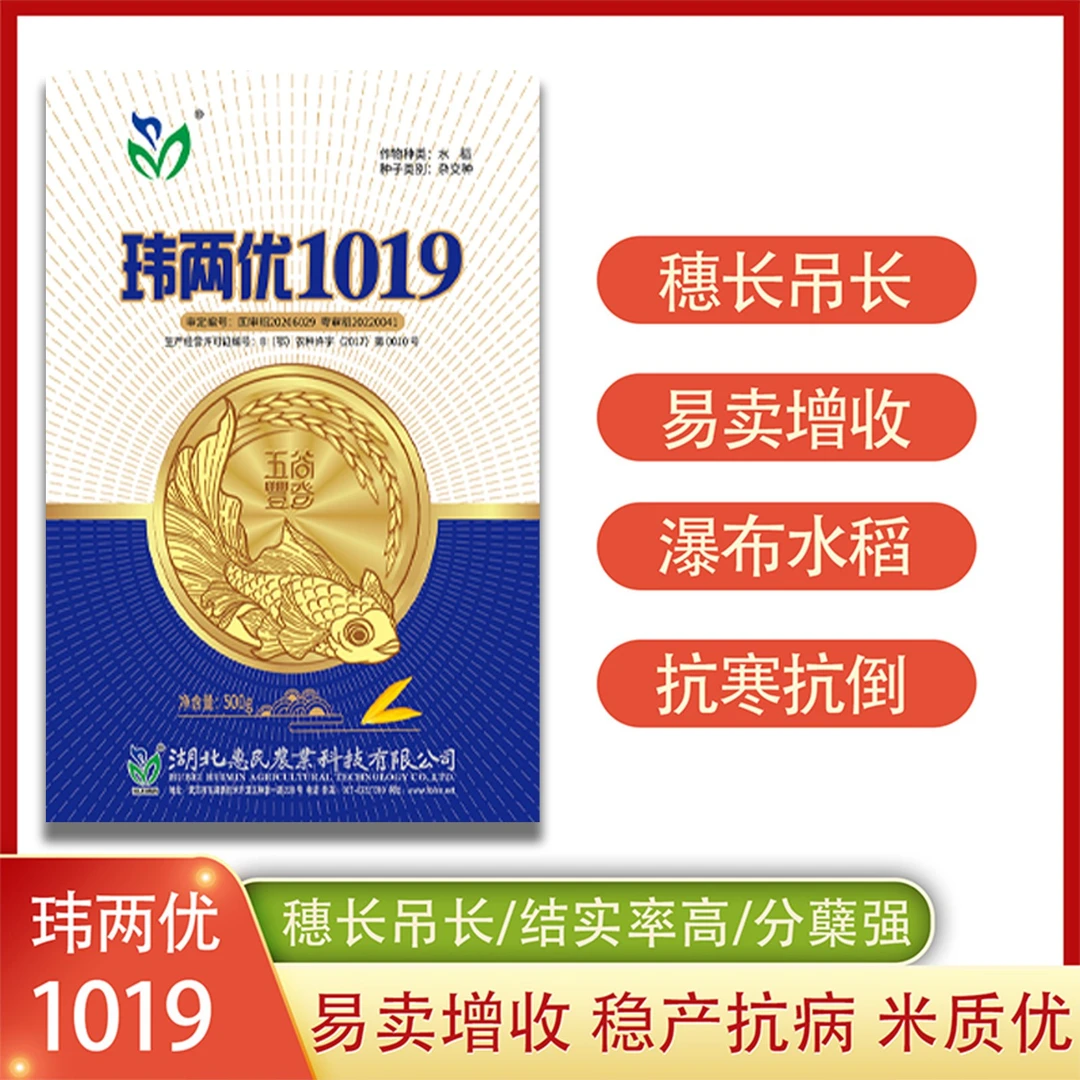 国审优质稻玮两优1019杂交水稻种子米质优长粒浓香抗倒稻谷种子