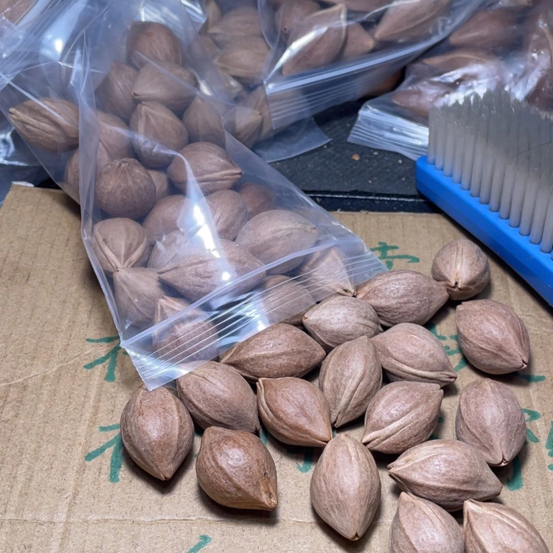 你*明不退不换qe ti