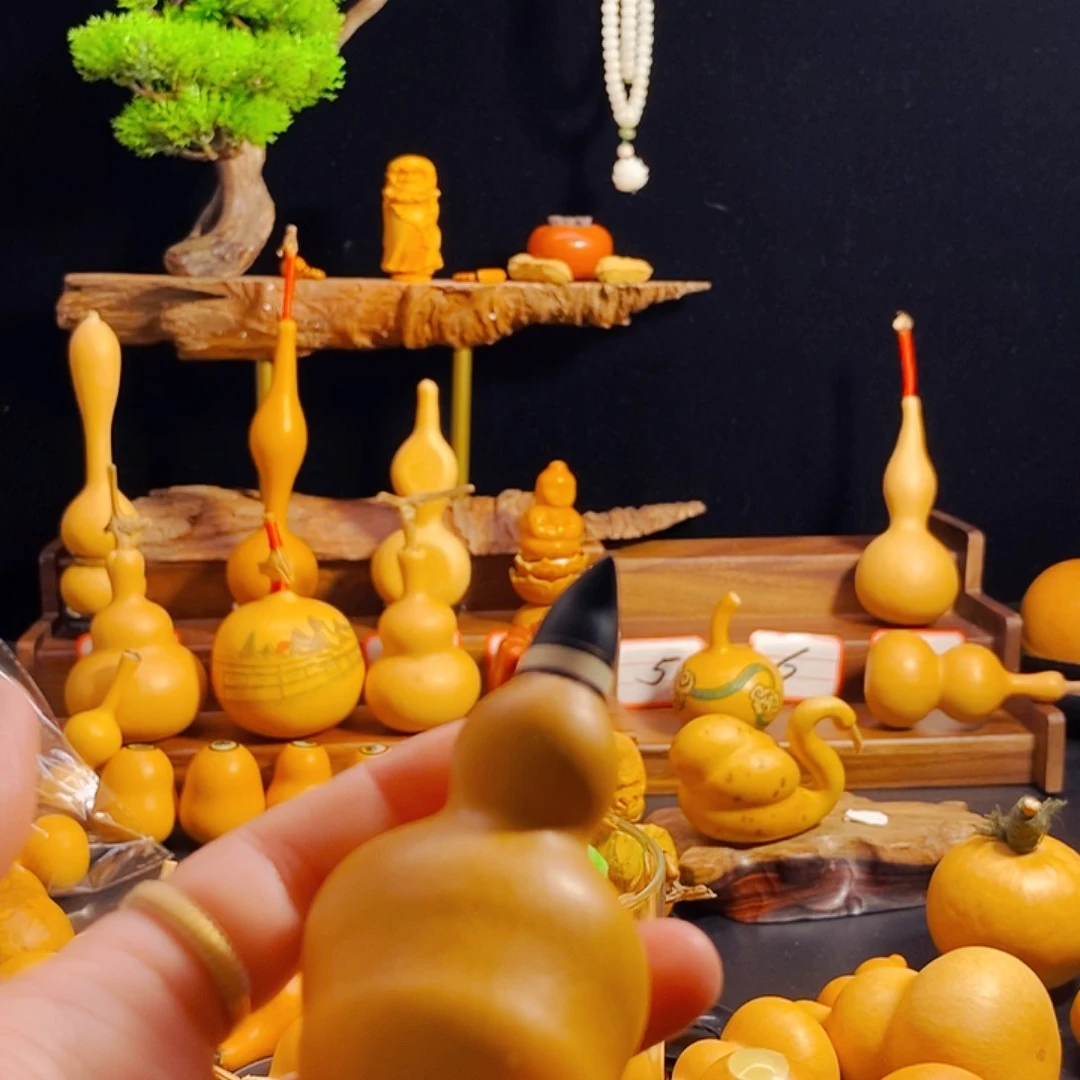 浮**粟呼呼呼呼呼呼呼