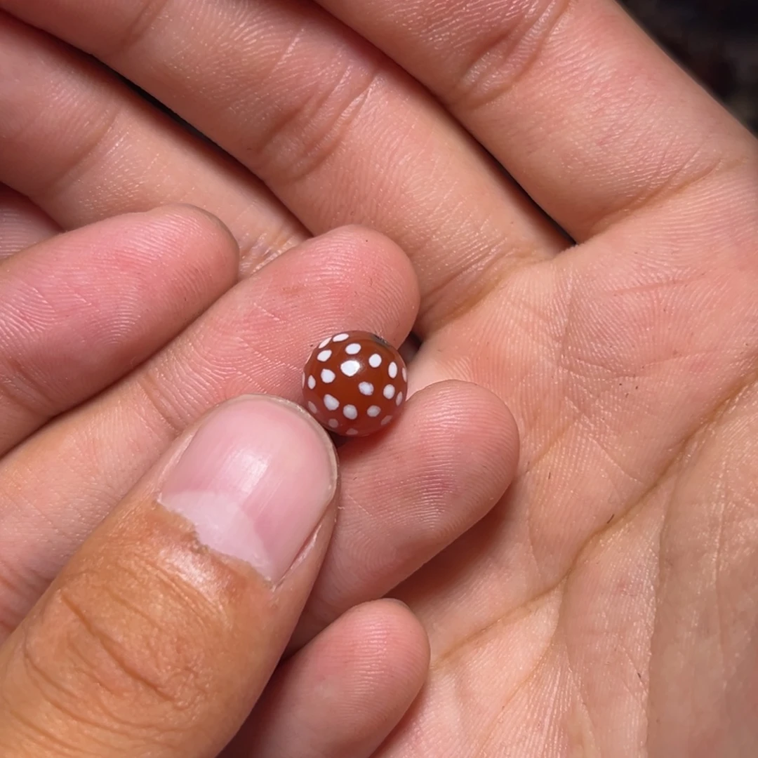 未镶嵌玛瑙/玉髓珠宝奇石