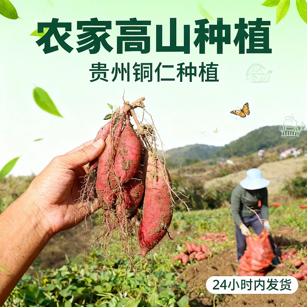 红薯贵州农家高山红薯紫薯 冰淇淋红薯 红心密薯白心板栗甜蕃薯