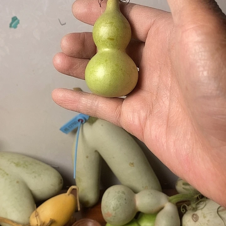 故***汇青皮腰子葫芦手把件