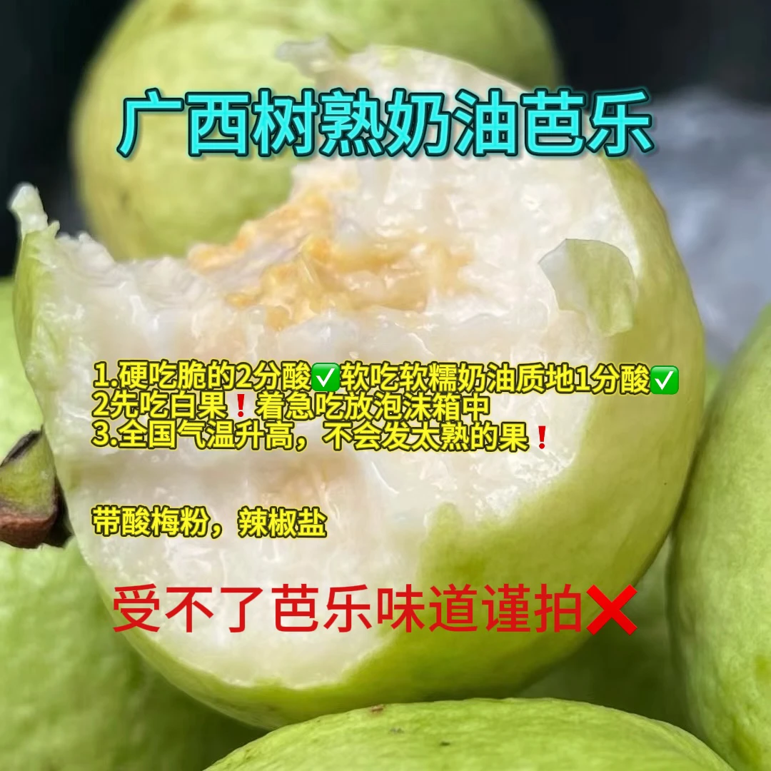 广西白心芭乐3斤/5斤番石榴糯软香甜坏果包赔产地直发