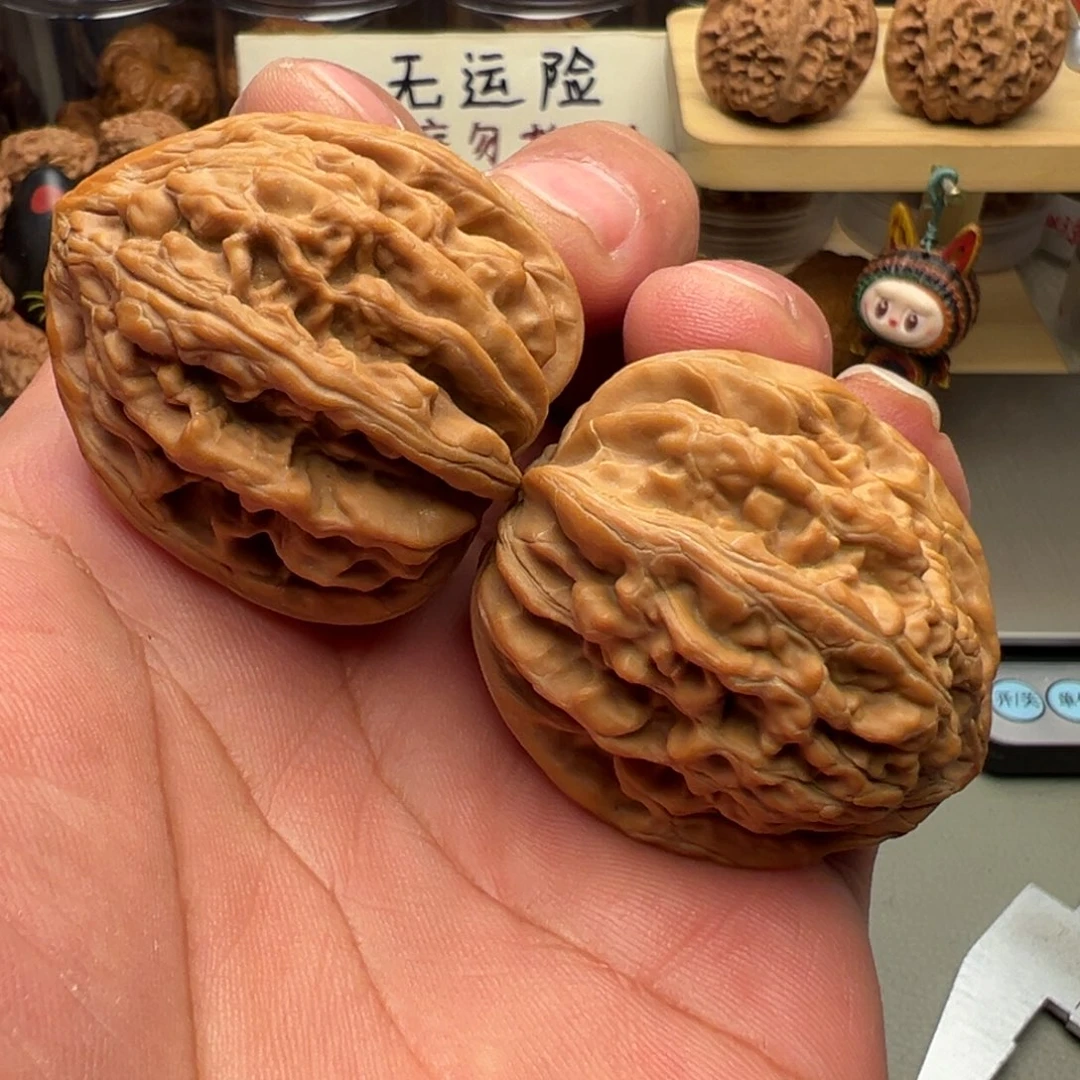 文玩核桃吊坠40尺凤尾粗筋