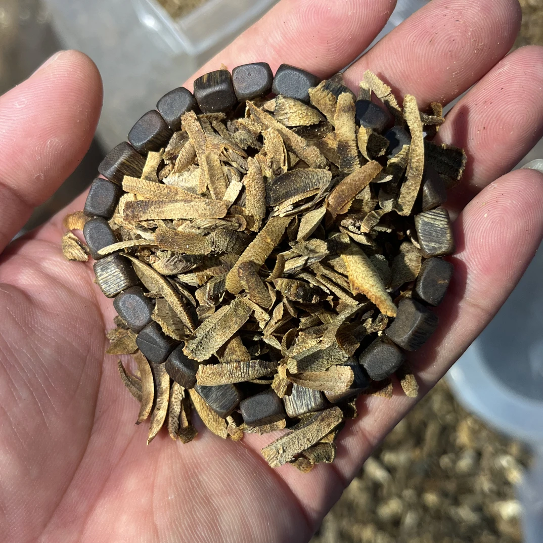 沉香【宠粉福利款】九九沉方糖多样性发一