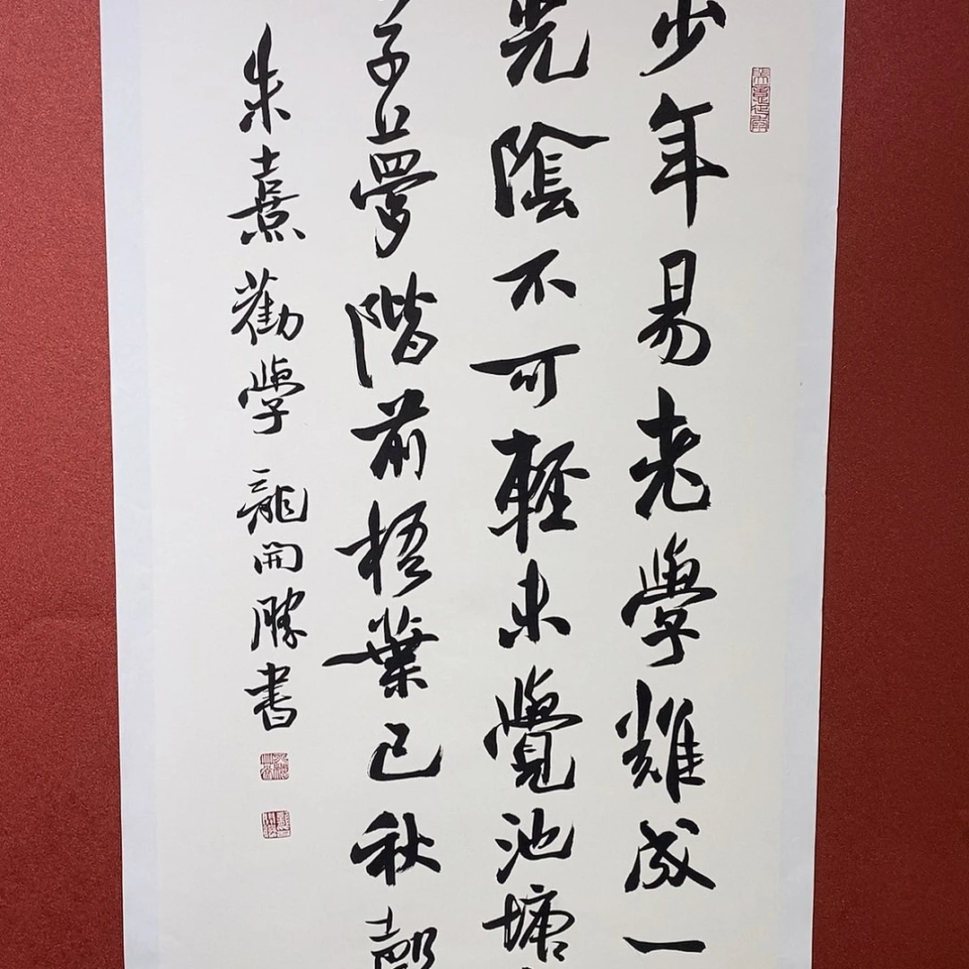 书法少年易老直播大漏