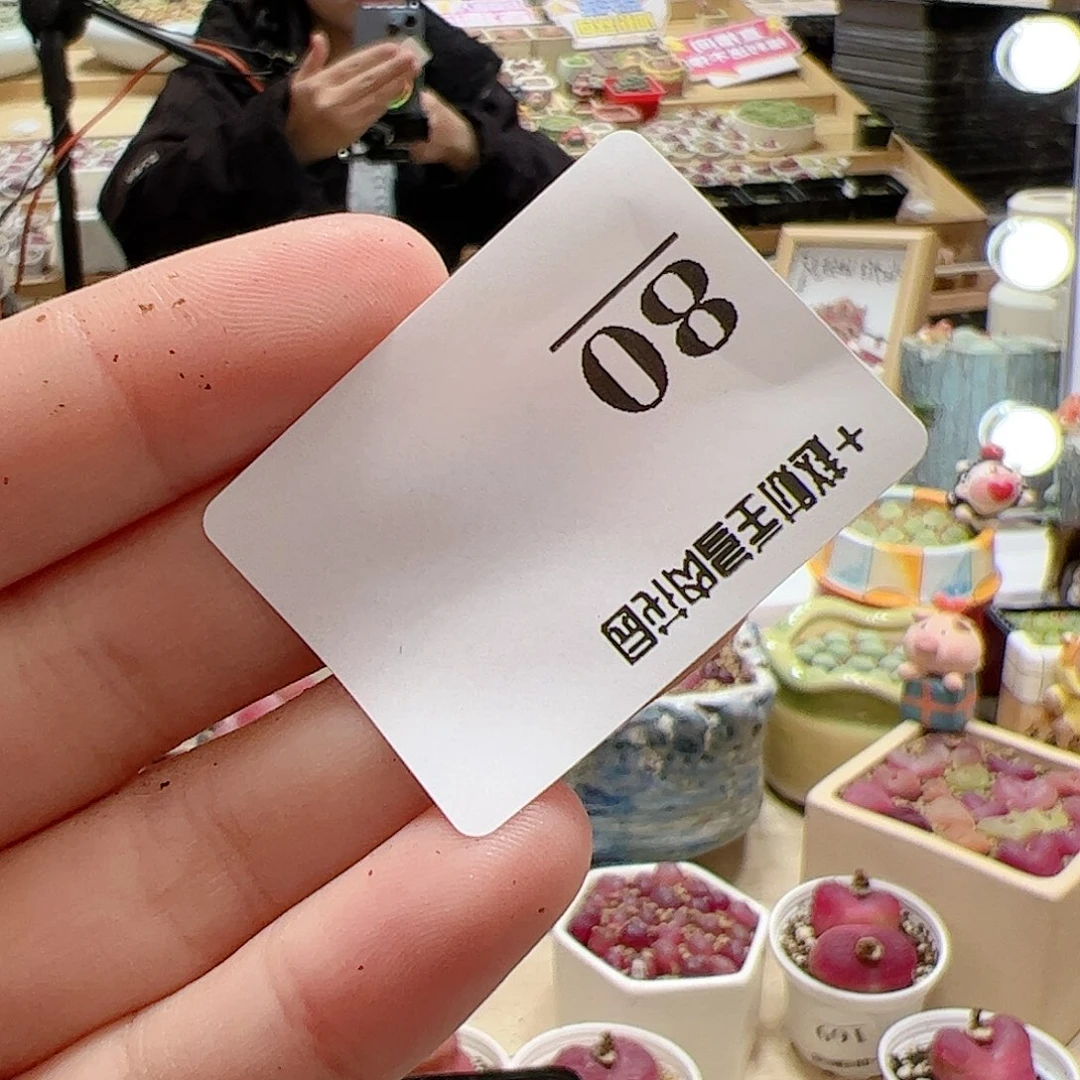 【闪购商品】W****?80 拉登