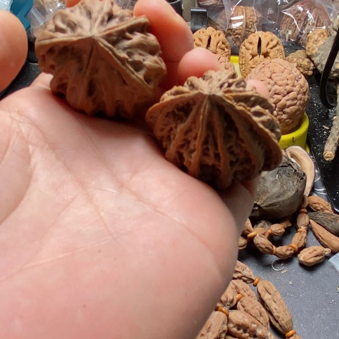 文玩核桃吊坠海核桃111