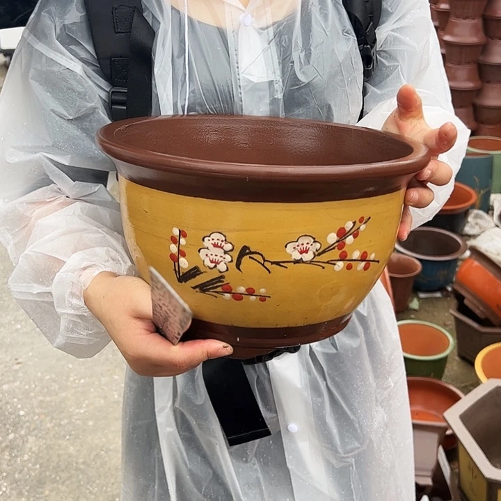 005中花盆花盆花盆花盆