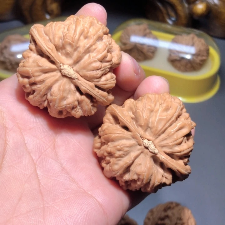 文玩核桃把件是***霍44大粗筋
