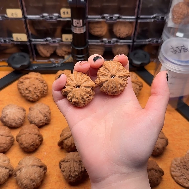 核桃其他金鼎于佛38尺