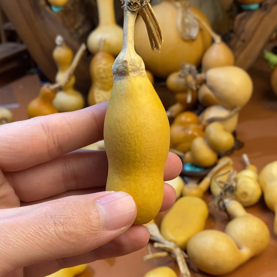 阿***粉教练教练咯教练经理