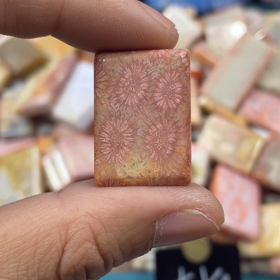 未镶嵌手镯硅化玉