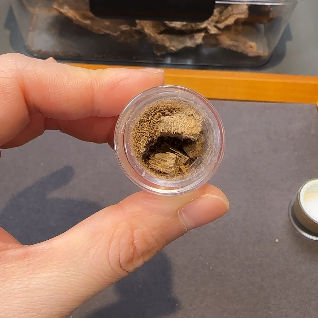 沉香碎屑沉香柬埔寨1g