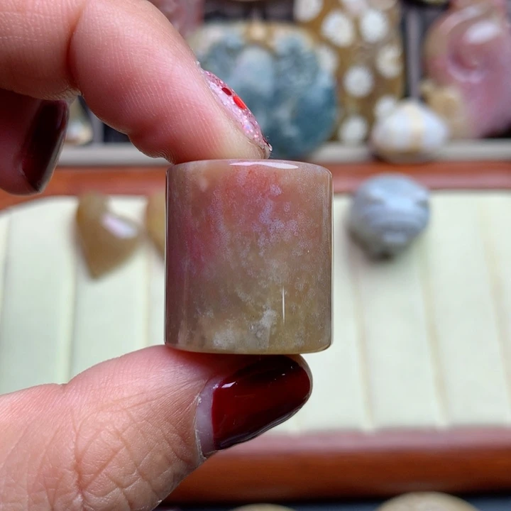 硅化珊瑚（珊瑚玉）颈饰未镶嵌