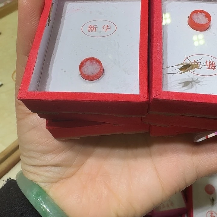 三***三蟋蟀冬大黄蛉短须6只