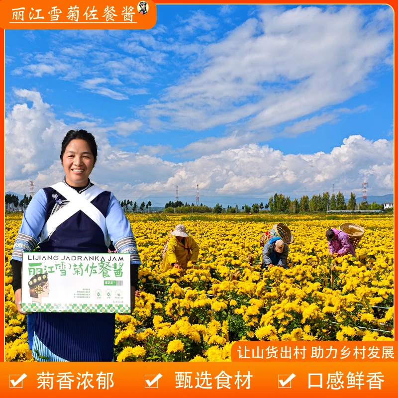 【吴钩足球专属】丽江嘉芝益菊花鸡枞酱拌面下饭酱巨好吃巨划算