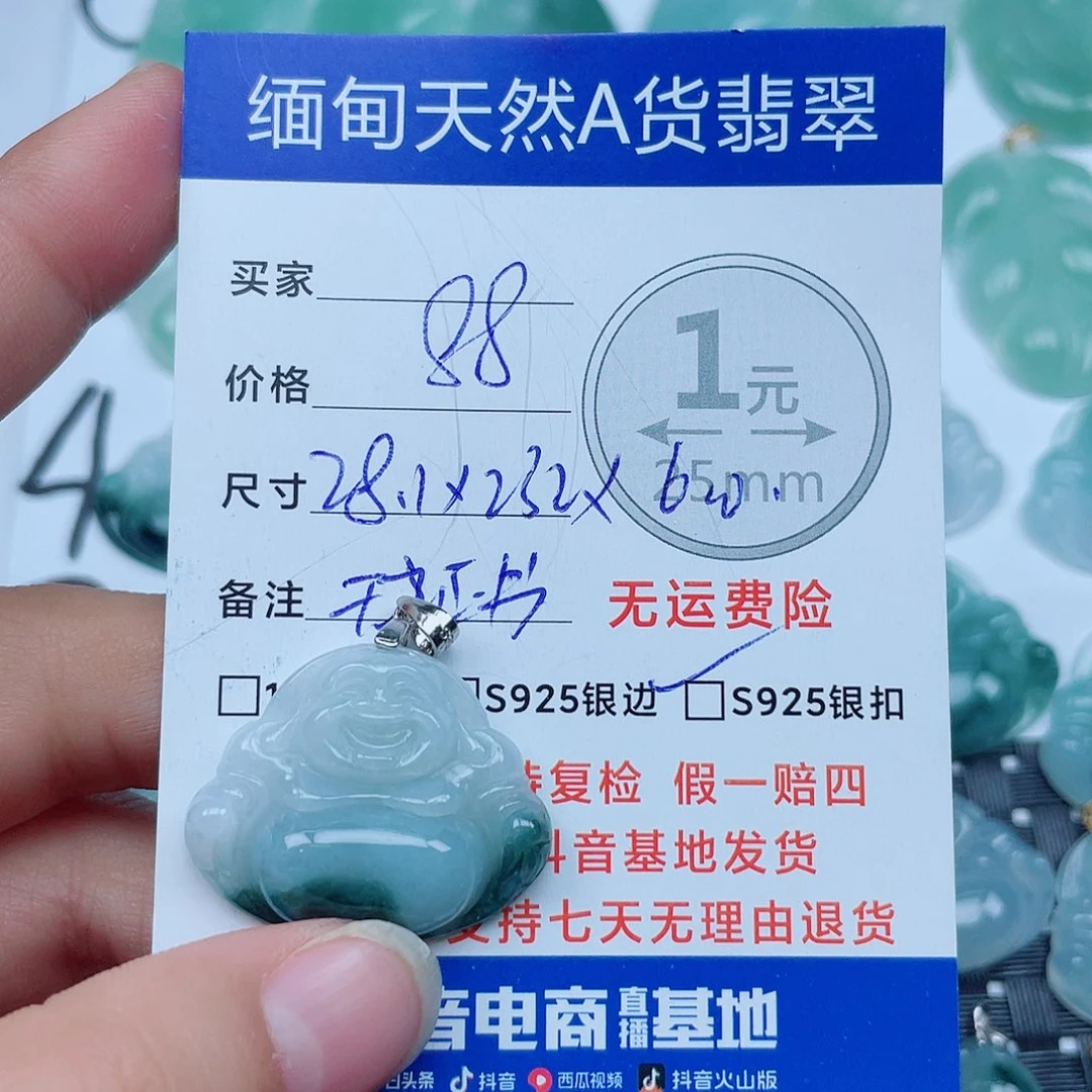翡翠银S925镶嵌颈饰翡翠