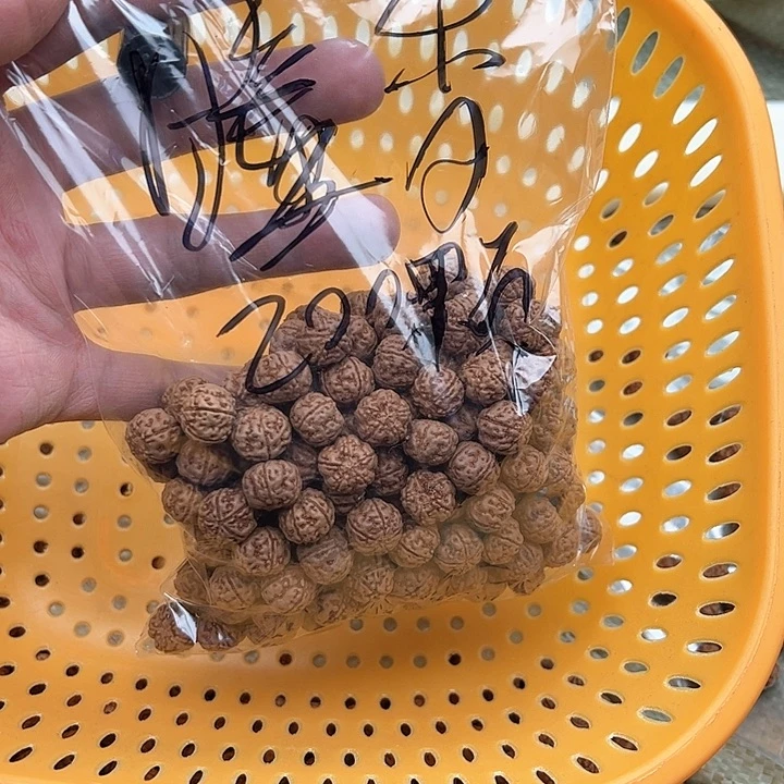 金刚菩提手串╭****╮200颗老树王