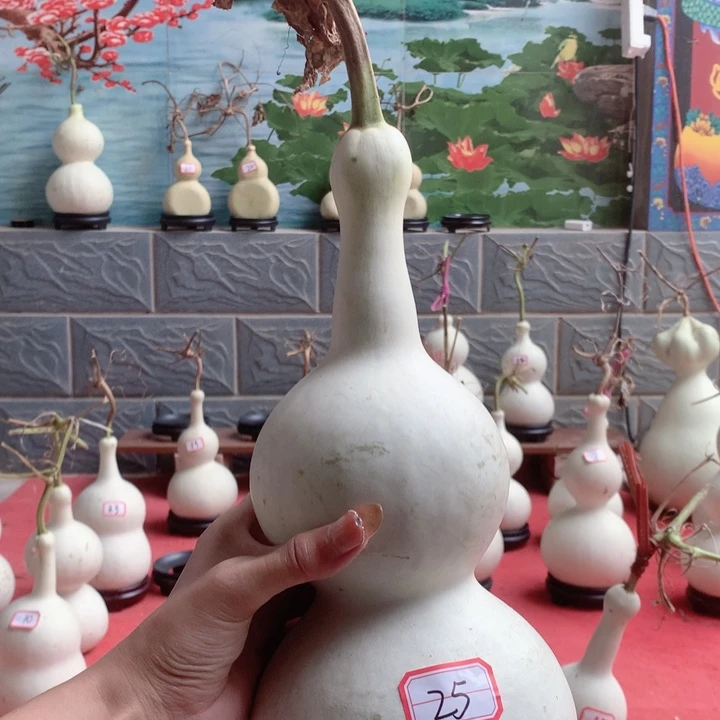 军***下中号尺寸的尺寸大小