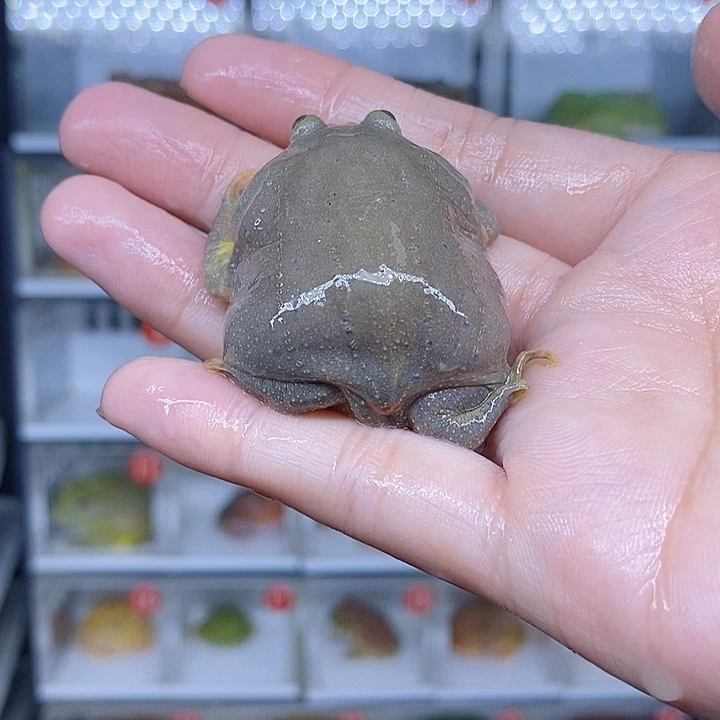 特价秒杀现货特价