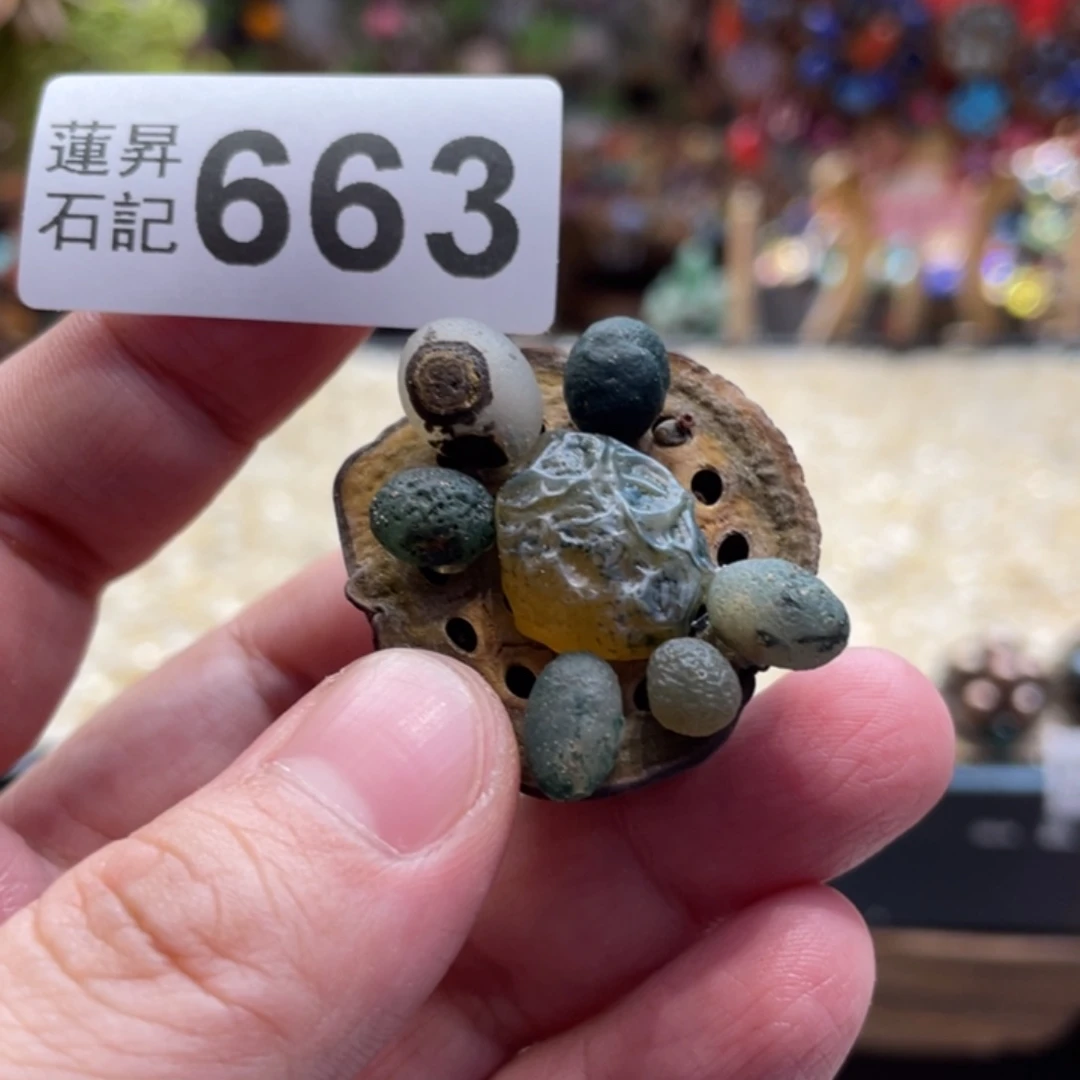 核桃木/黑胡桃（胡桃木）663