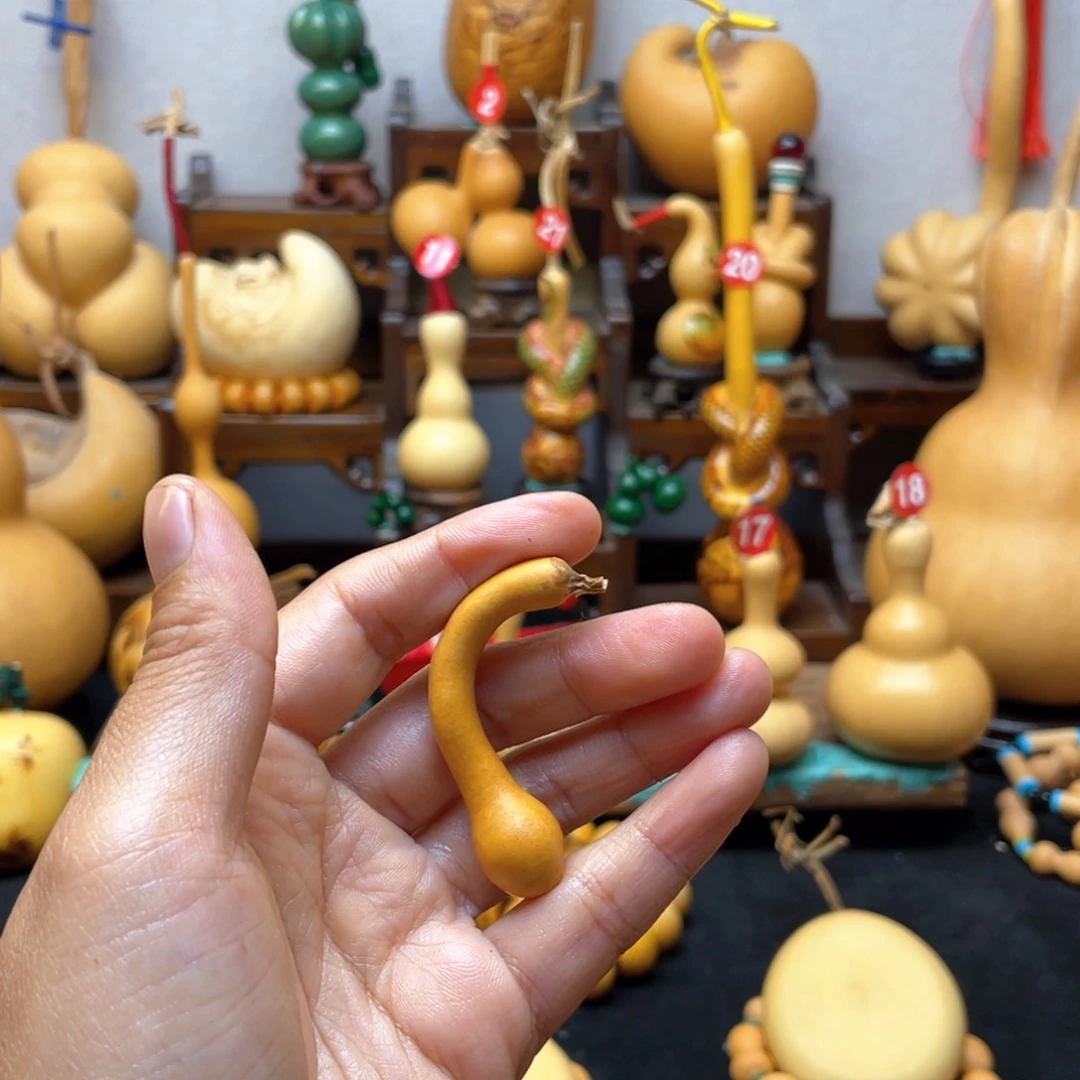 小*阳大自然的秘密第十节第一