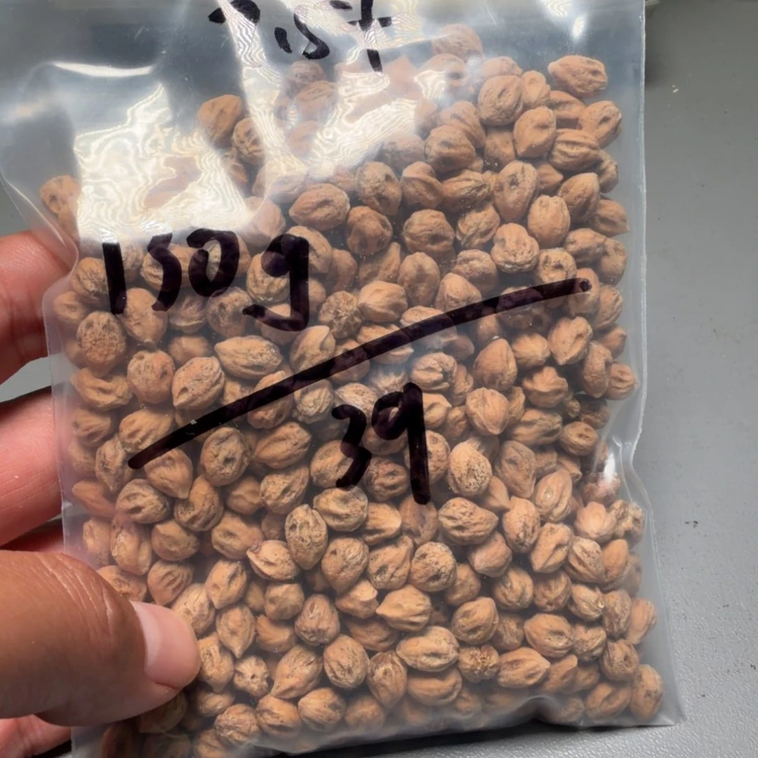 吊坠柏香籽/百香籽圣*月