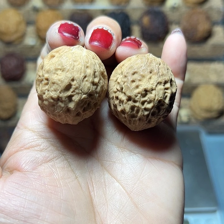 文玩核桃把件28号红蝶35尺