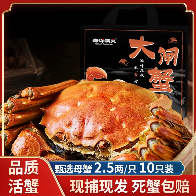【活蟹】海洋演义 大闸蟹 母2.5两*10只
